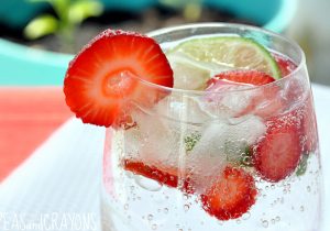 Skinny Strawberry Lime Vodka Spritzer Recipe
